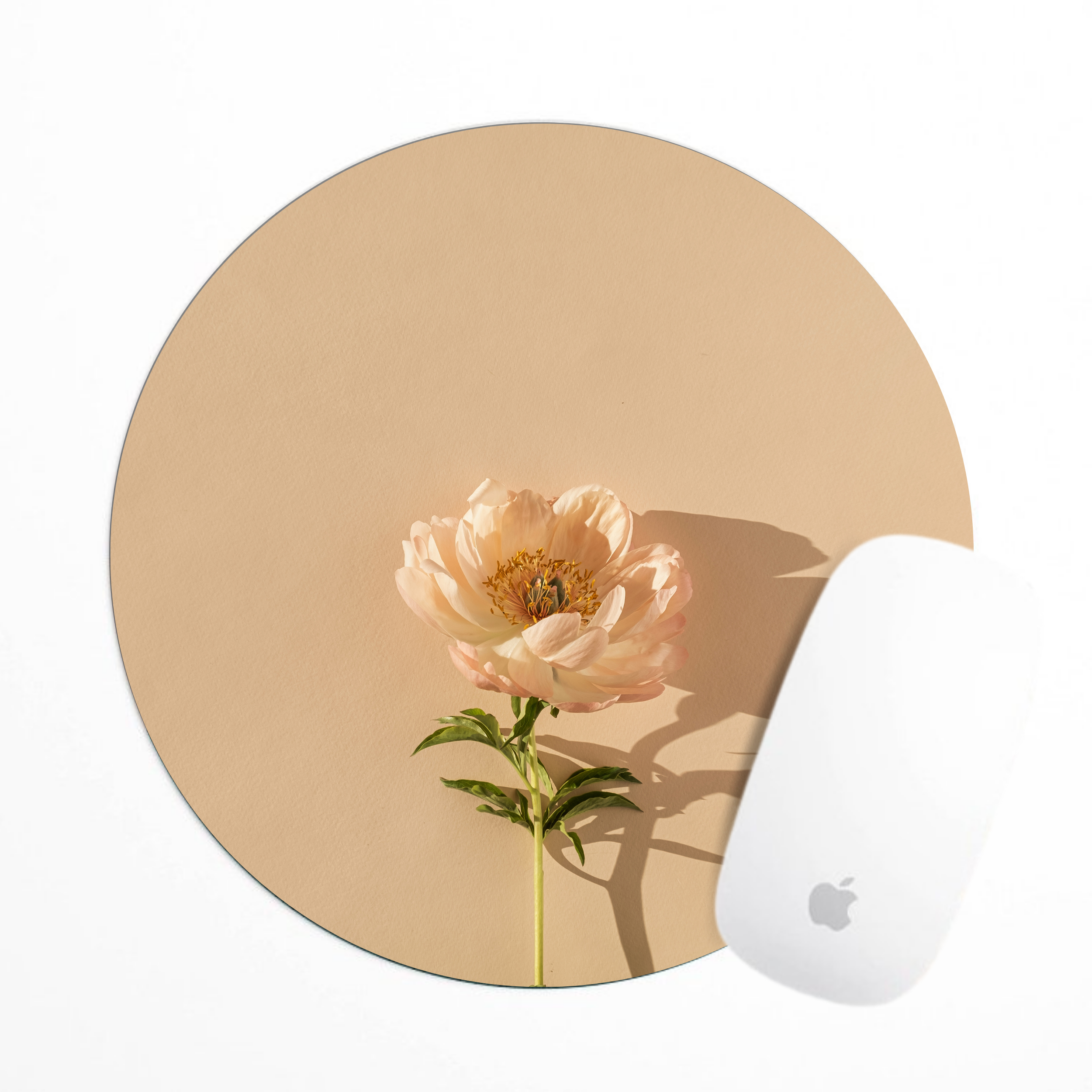 Rustic floral Mouse Pad